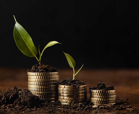 CCL Growth Funds | What We’re Offering